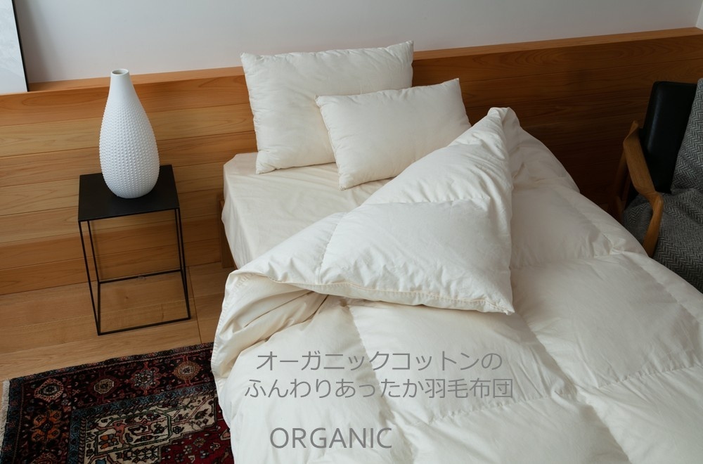 ピックアップ1000×660.jpg